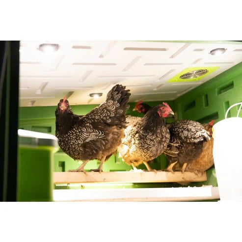 Kerbl SmartCoop LED Stallbeleuchtung