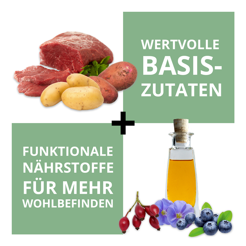 Wildsterne Breed Selection Adult L