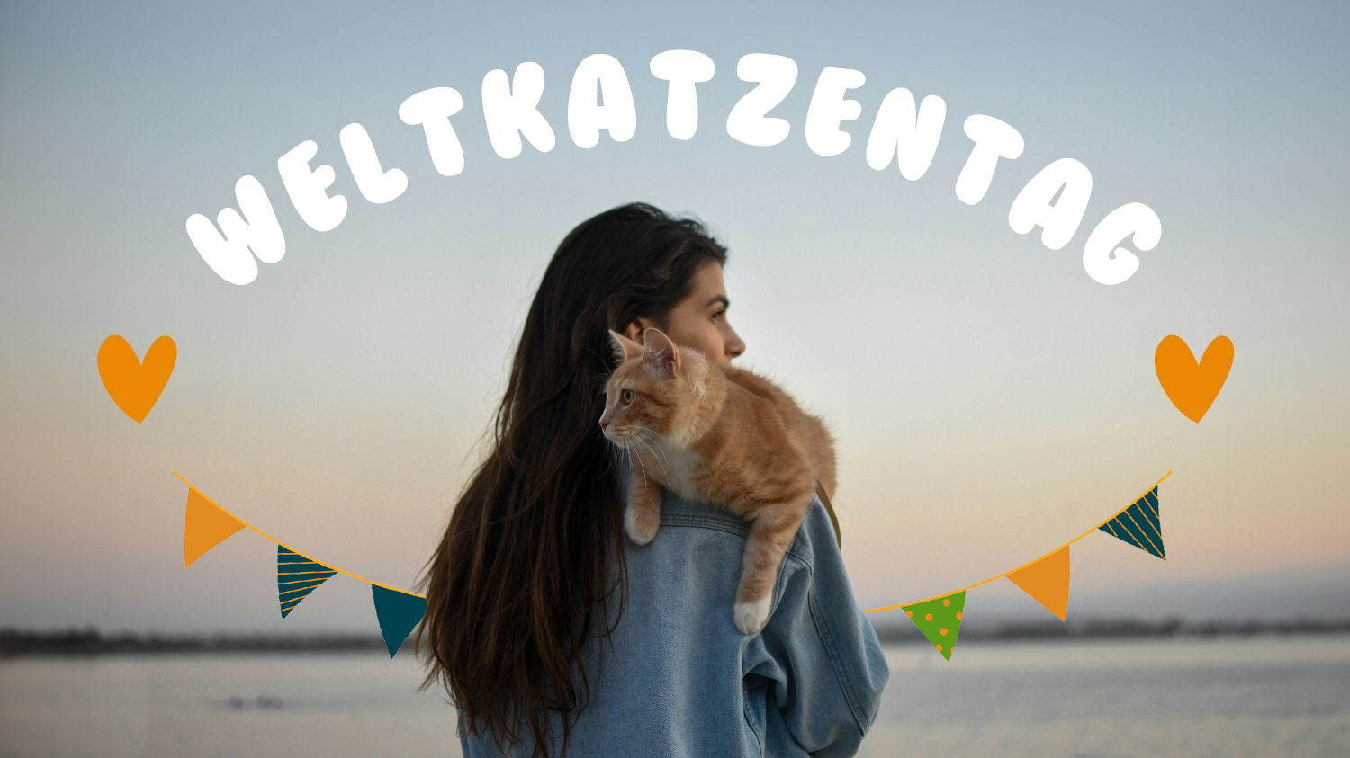 So feiern wir Weltkatzentag: 7 kreative Ideen