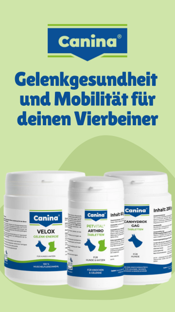 Canina Gelenke Hund