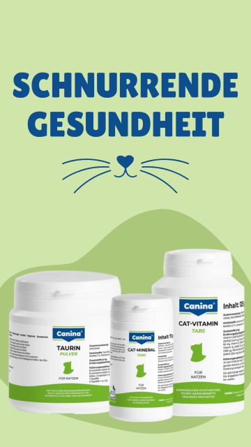 Canina Gesundheit Katze
