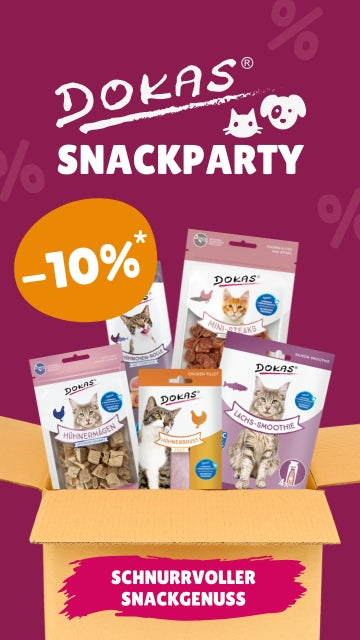 DOKAS Snackparty Katze