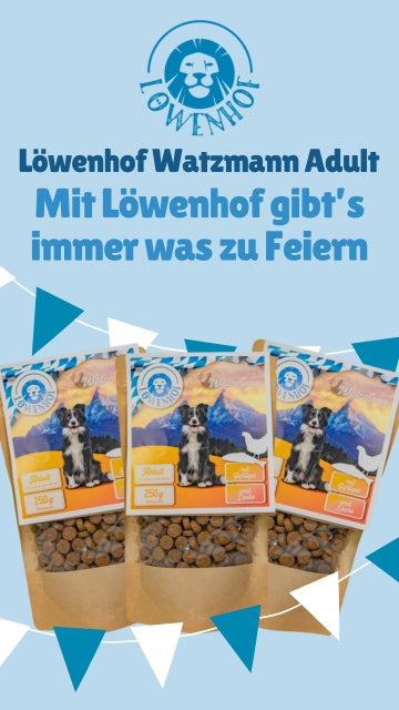 Löwenhof Watzmann Adult