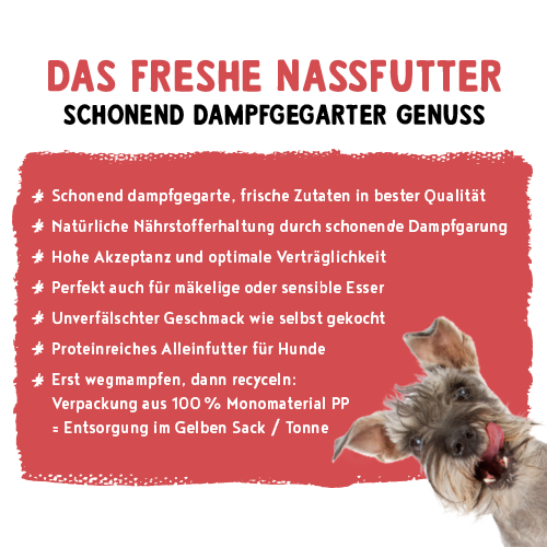 bosch Freshe Schnauze Nassfutter - Rind mit Hirse & Rote Bete 250 g