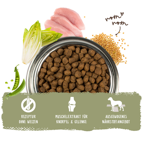 bosch HPC Adult mit frischem Geflügel & Hirse