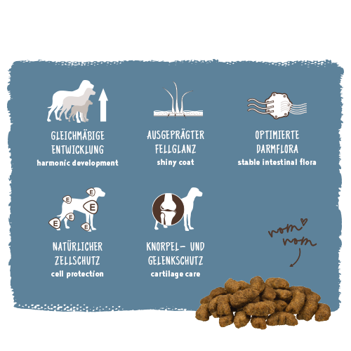 bosch HPC Maxi Junior