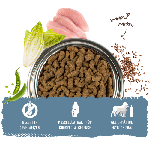 bosch HPC Maxi Junior