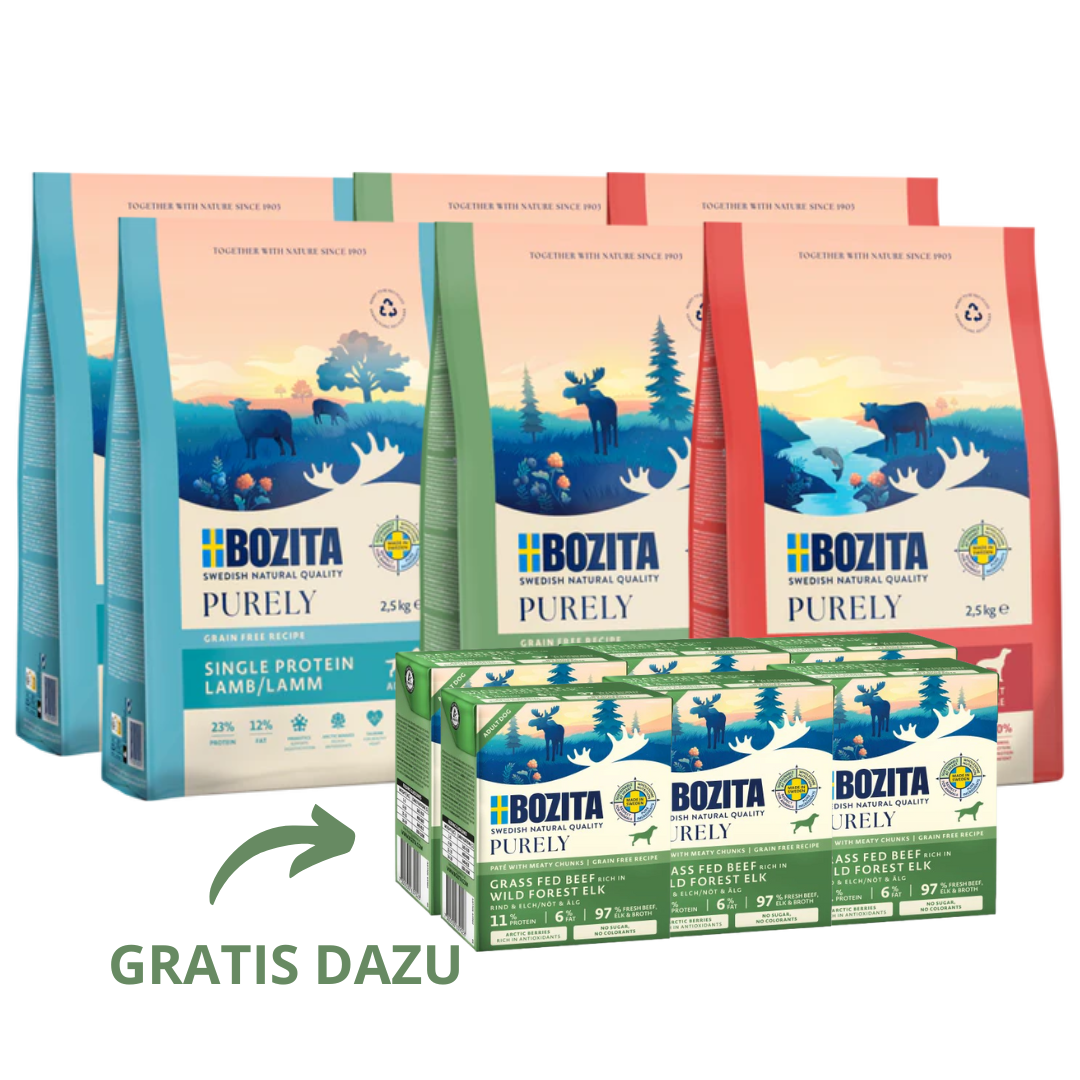 Kombipaket Bozita Dog Purely Lachs & Rind, Elch, Lamm + GRATIS Bozita Purely Paté mit Elch 6 x 370 g Tetra