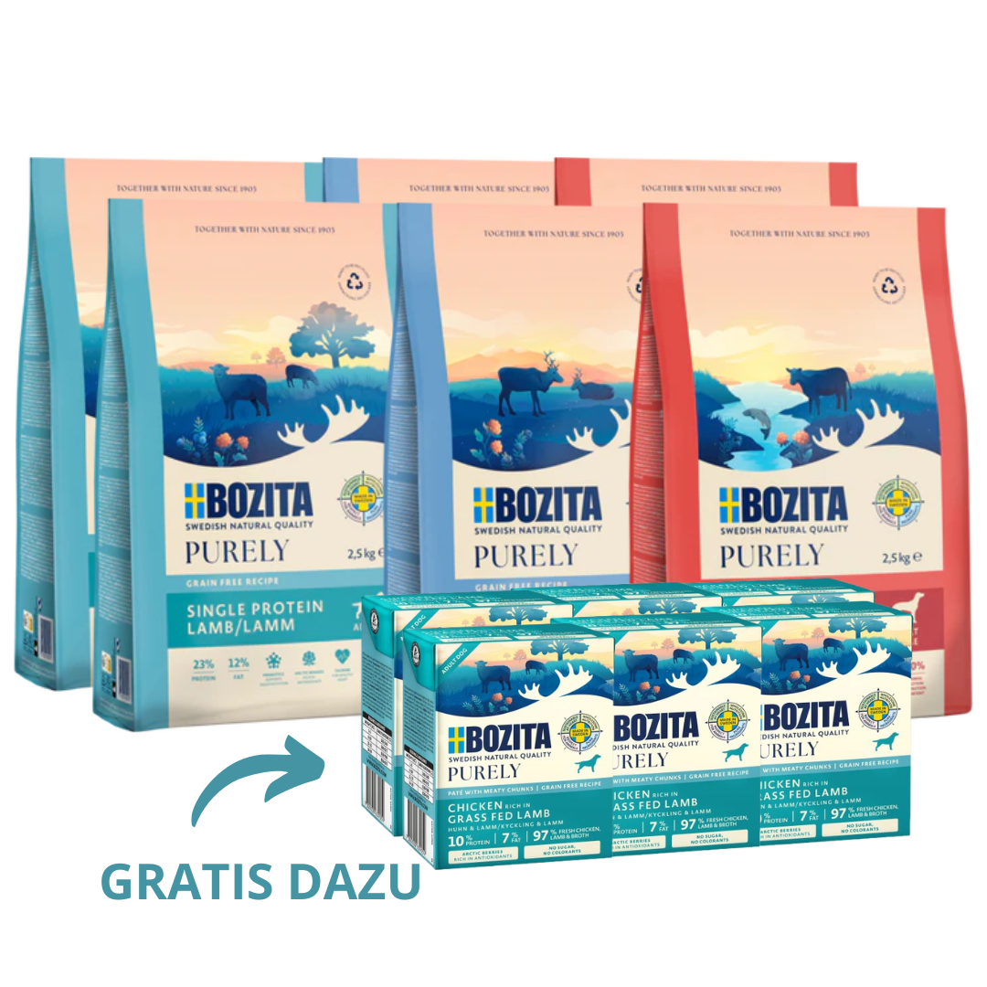 Kombipaket Bozita Dog Purely Lachs & Rind, Rentier, Lamm + GRATIS Bozita Purely Paté mit Lamm 6 x 370 g Tetra