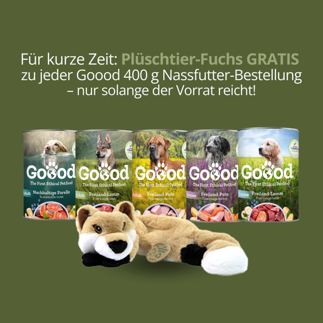 Goood Senior Freilandpute & Forelle 400 g