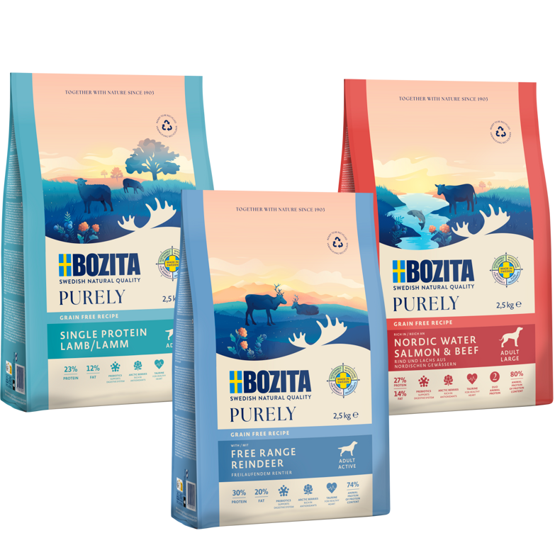 Kombipaket Bozita Dog Purely Lachs & Rind, Rentier, Lamm + GRATIS Bozita Purely Paté mit Lamm 6 x 370 g Tetra