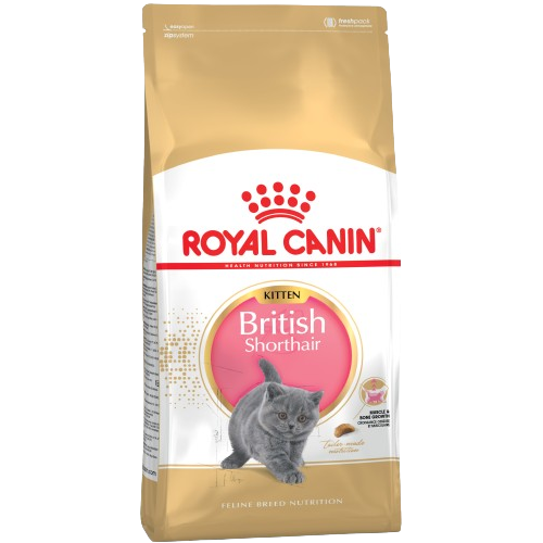 Royal Canin Feline British Shorthair Kitten