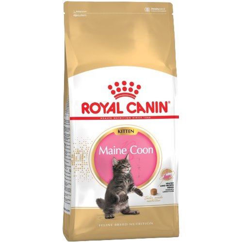 Royal Canin Feline Maine Coon Kitten